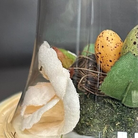 Spring Farmhouse Cottagecore Dome Cloche Birds Nest Decor - Picture 3 of 8